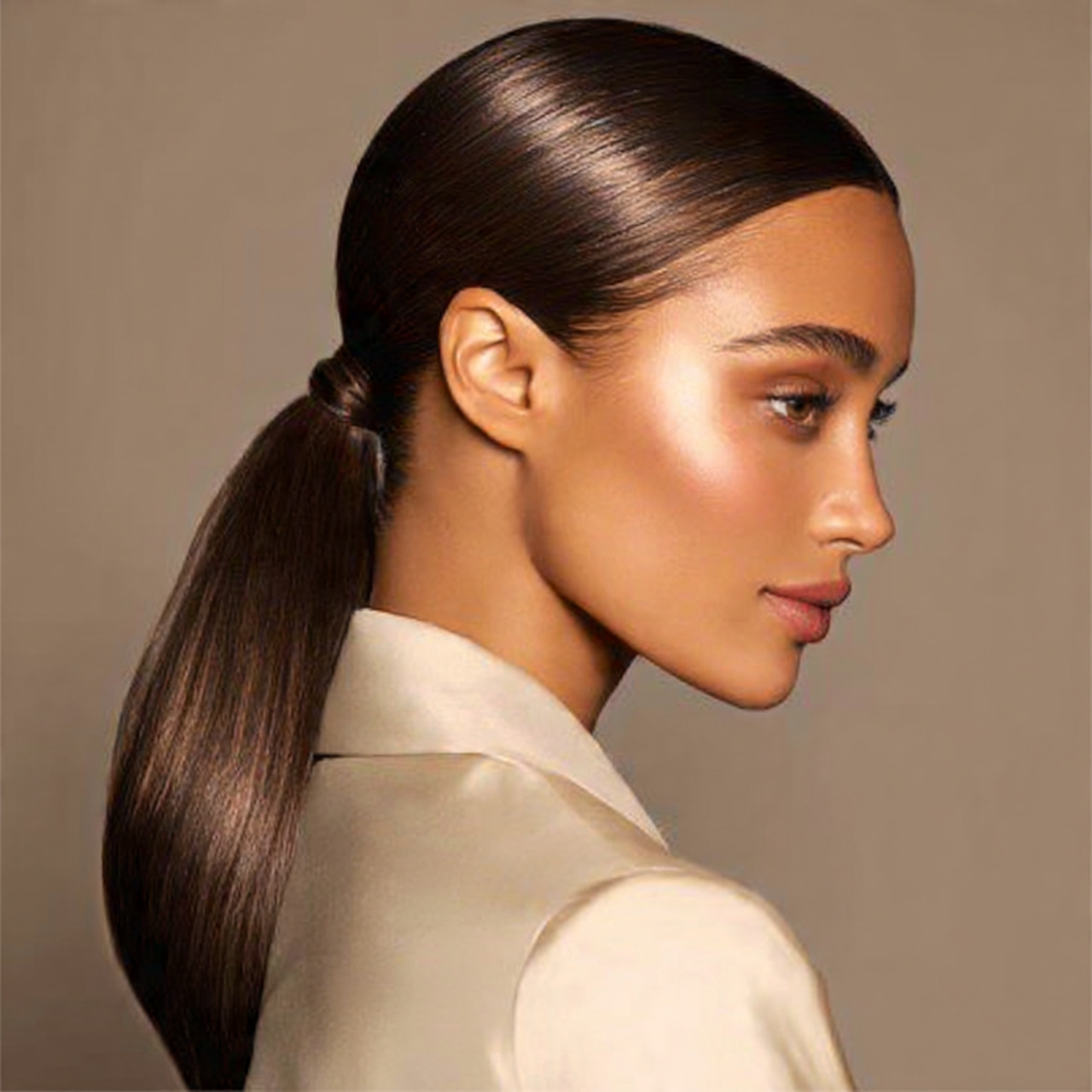 Sleek Low Pony Hairstyles Ideas